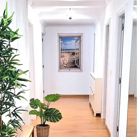 A1 ático Centro Con Terraza Y Parking